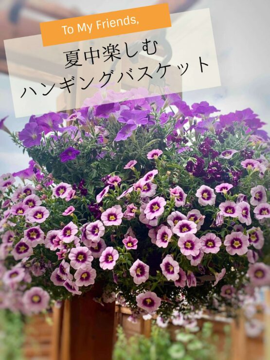 夏中楽しむハンギングバスケット フツウの暮らし From Canada